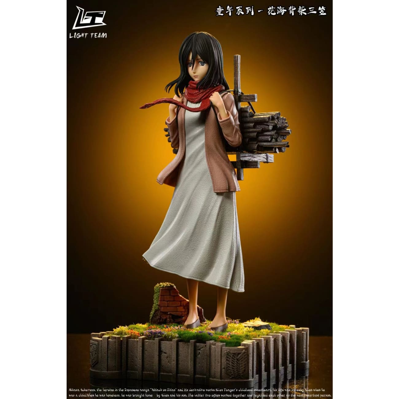 Light Team - Mikasa Ackerman 