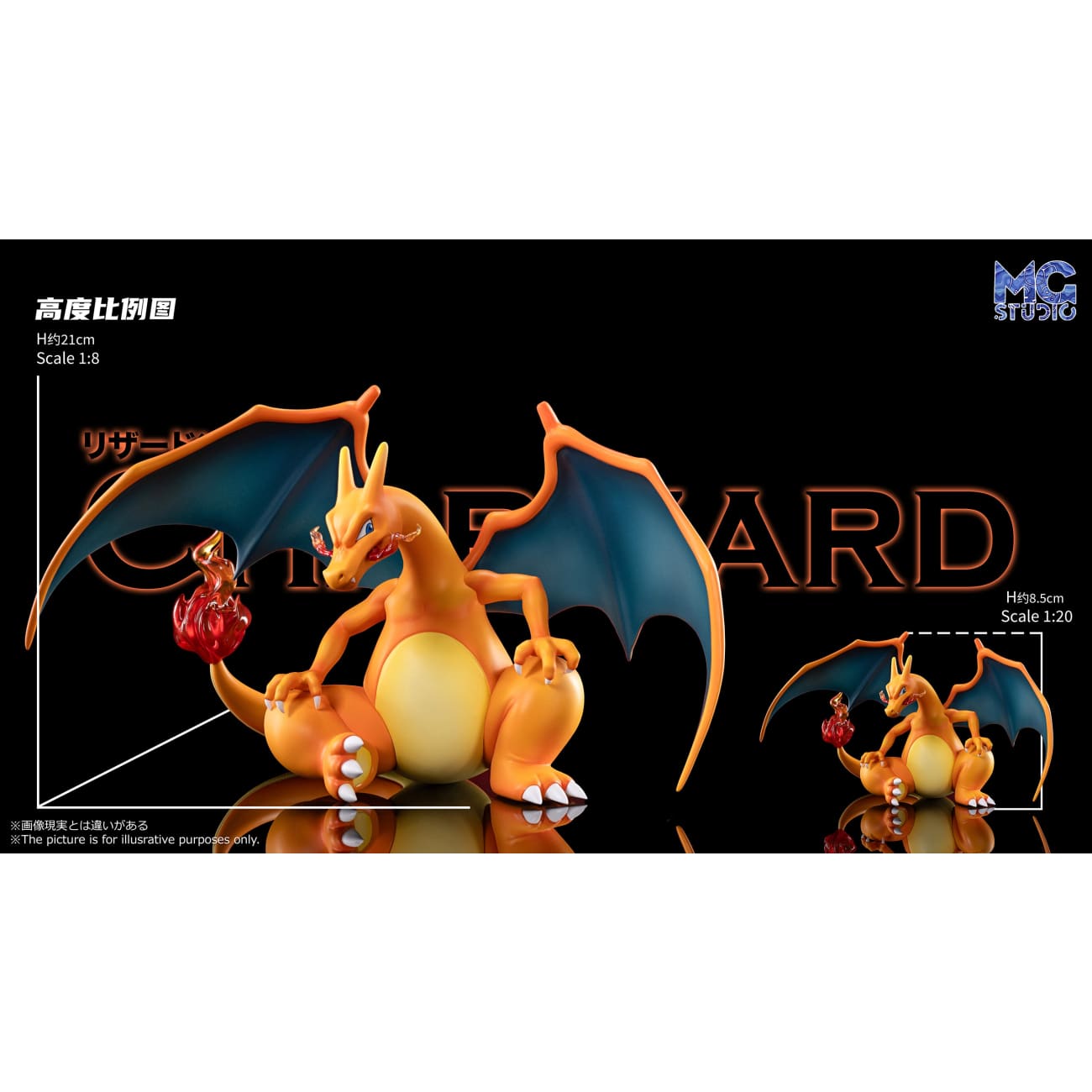 MG Studio - Charizard [4 Variants]