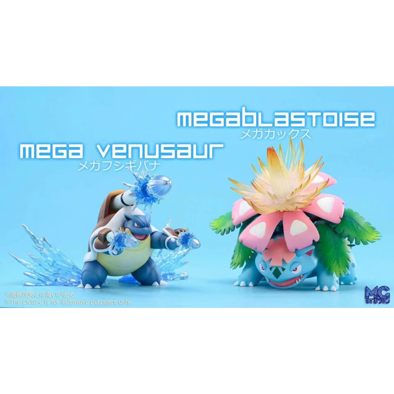 MG Studio - Mega Blastoise / Mega Venusaur