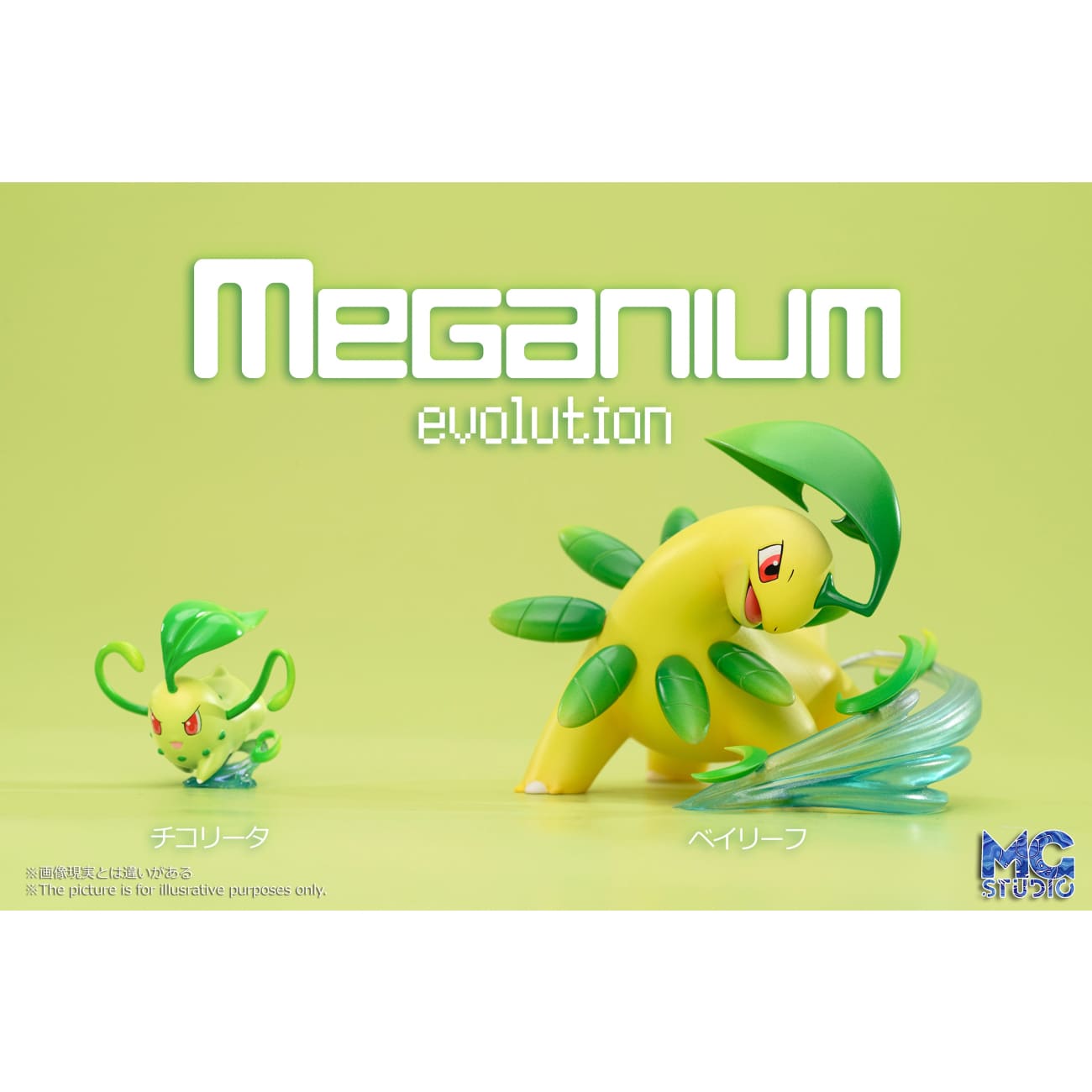 MG Studio - Meganium Family [2 Variants]