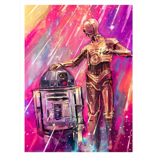 Movie Poster - Droides Poster