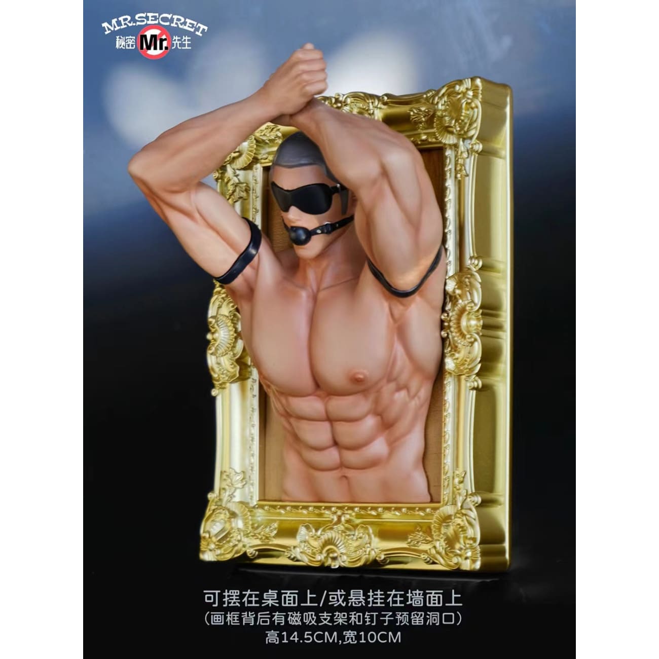 Mr. Secret Studio - The Secret of the Picture Frame Realistic Ver.
