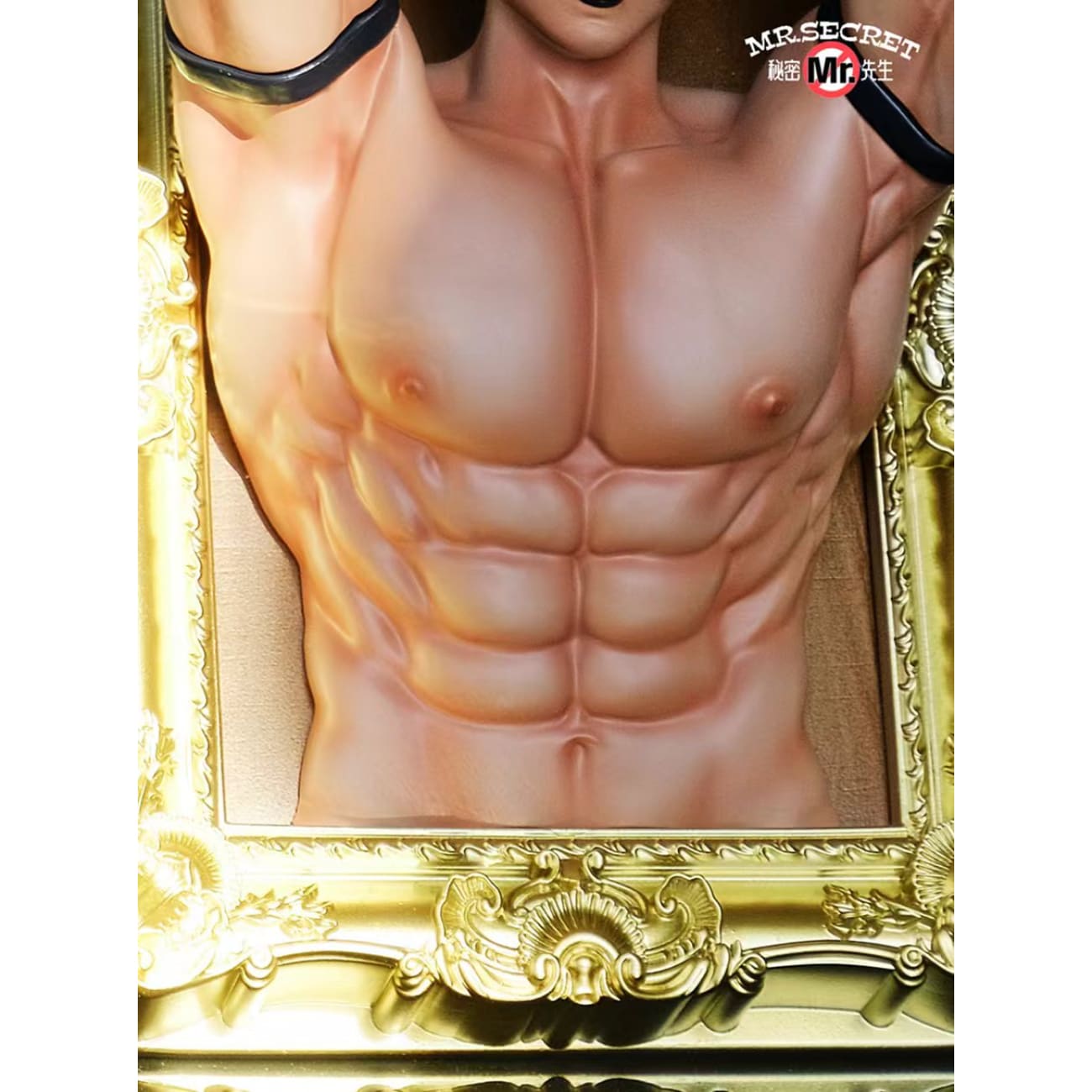 Mr. Secret Studio - The Secret of the Picture Frame Realistic Ver.