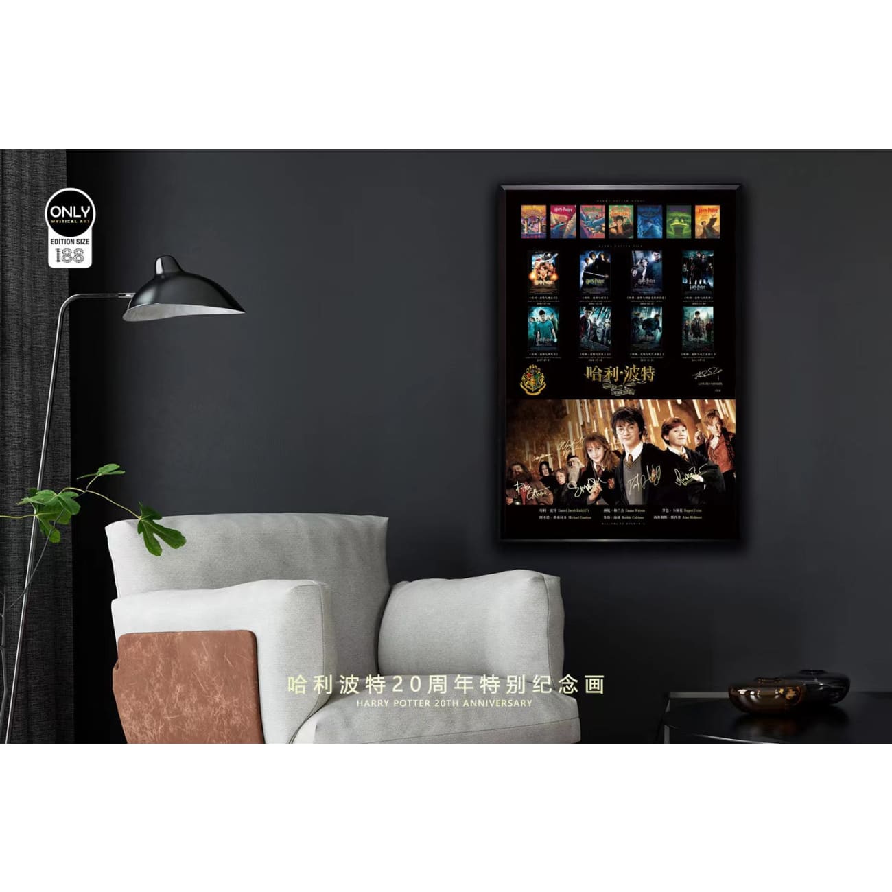 Mystical Art - Harry Potter 20th Anniversary Special Poster Frame 