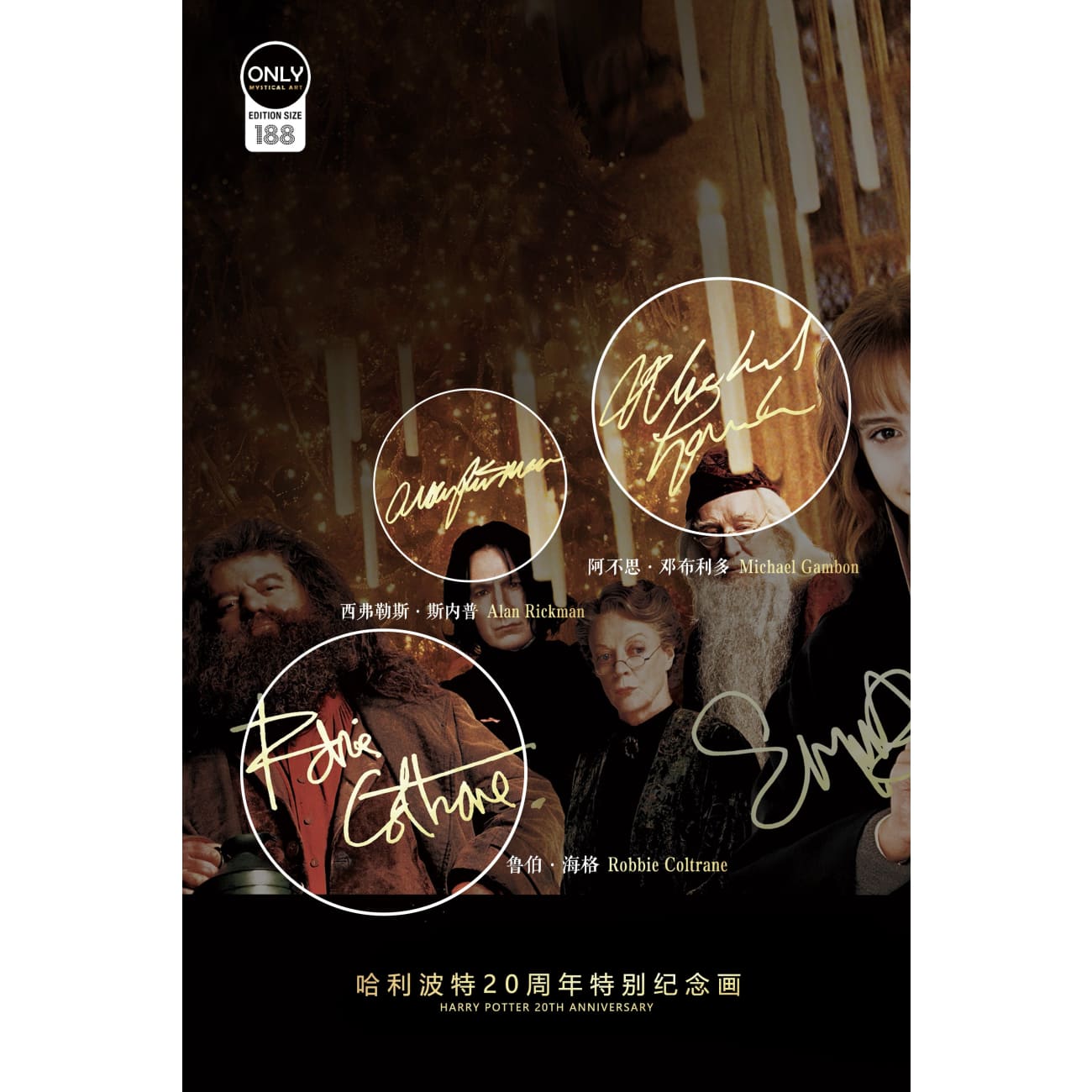 Mystical Art - Harry Potter 20th Anniversary Special Poster Frame 