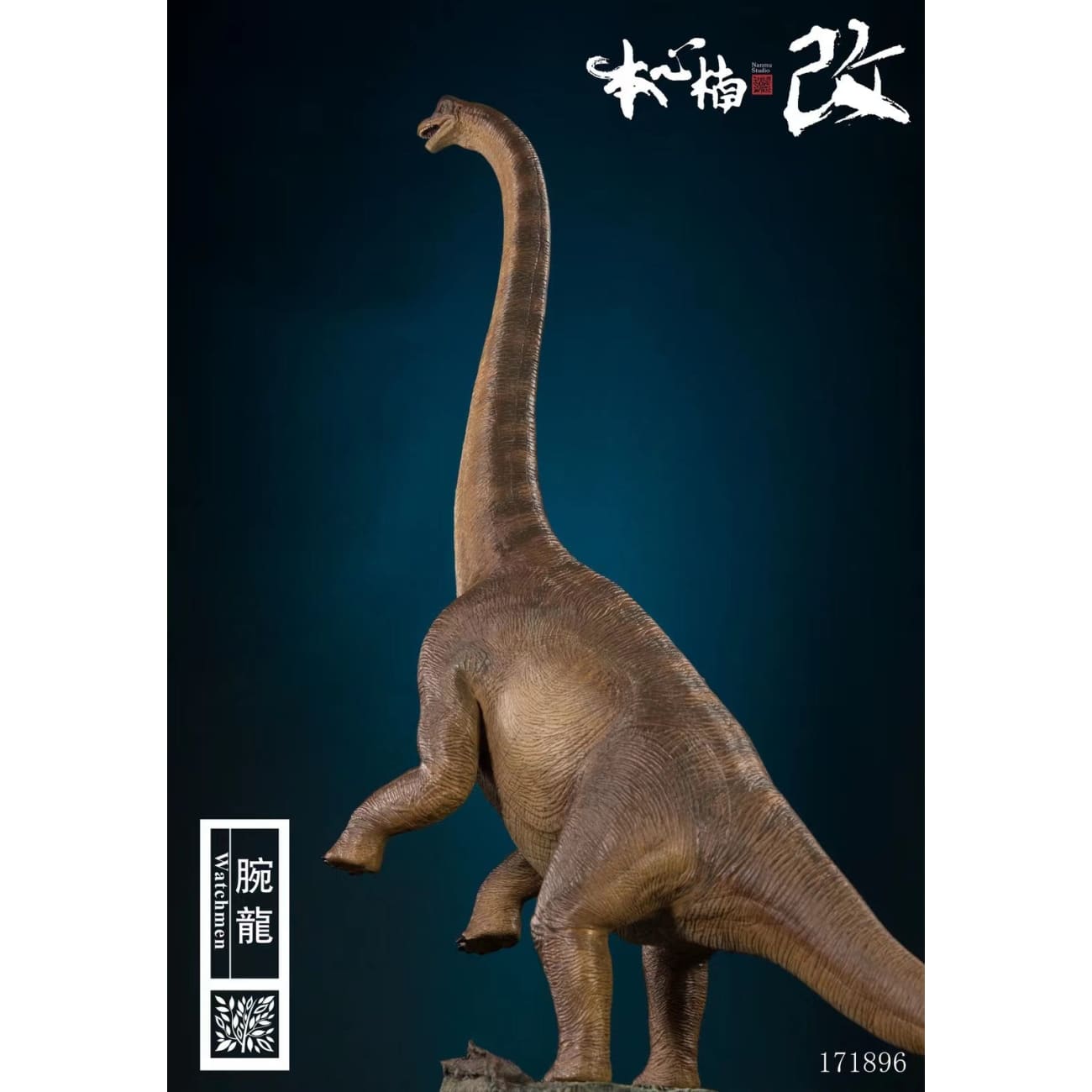 Nanmu Studio - Apatosaurus Dinosaur Statue ( Brown ) [1/35 scale]  