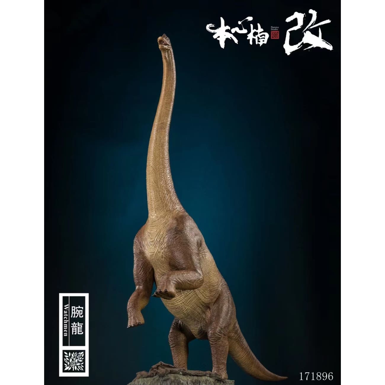 Nanmu Studio - Apatosaurus Dinosaur Statue ( Brown ) [1/35 scale]  