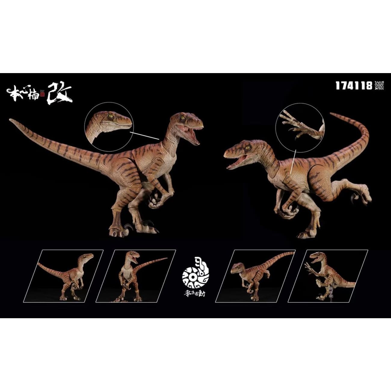 Nanmu Studio - Raptor 2.5 Ver. [2 Variants]