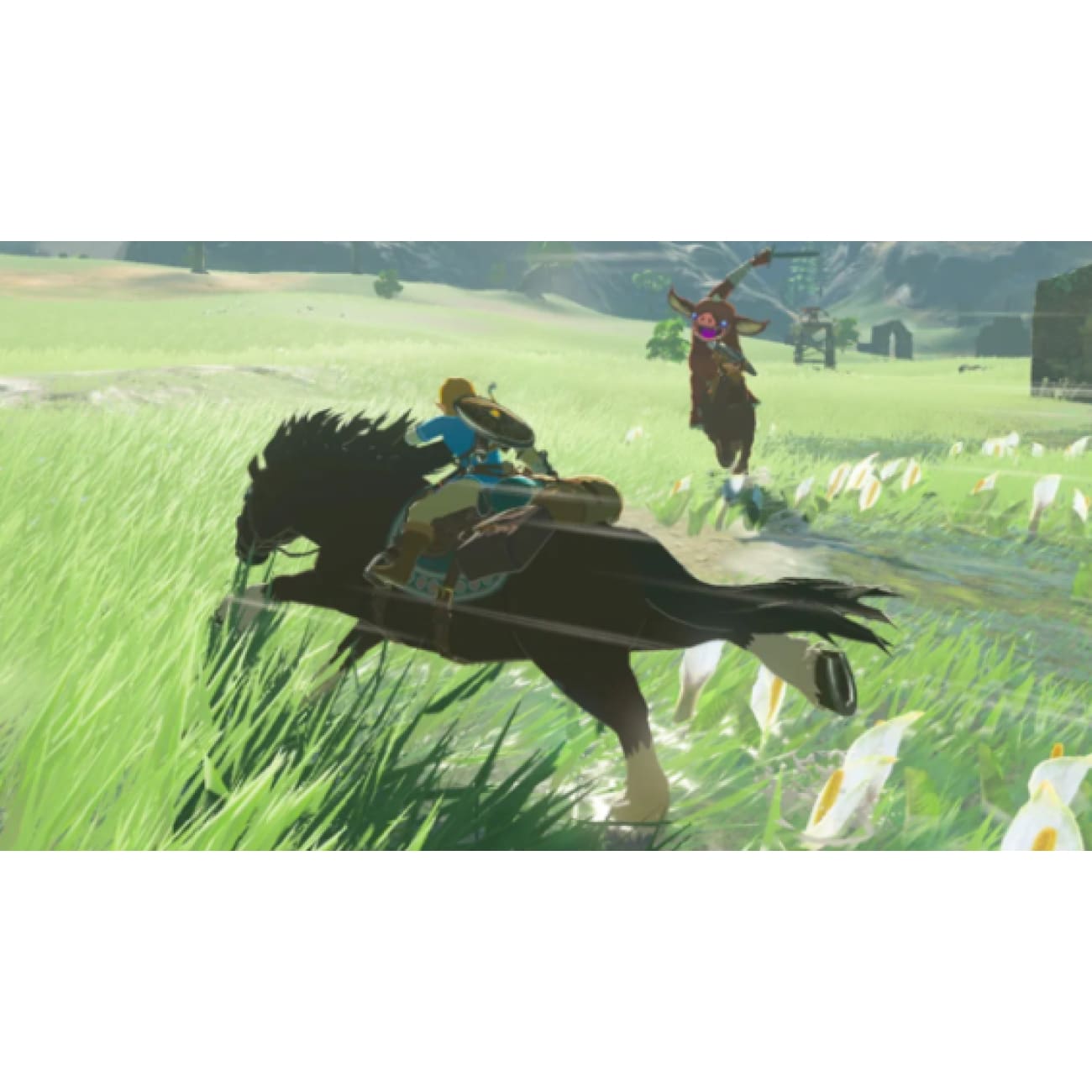 Nintendo Switch Game Title - The Legend of Zelda: Breath of the Wild