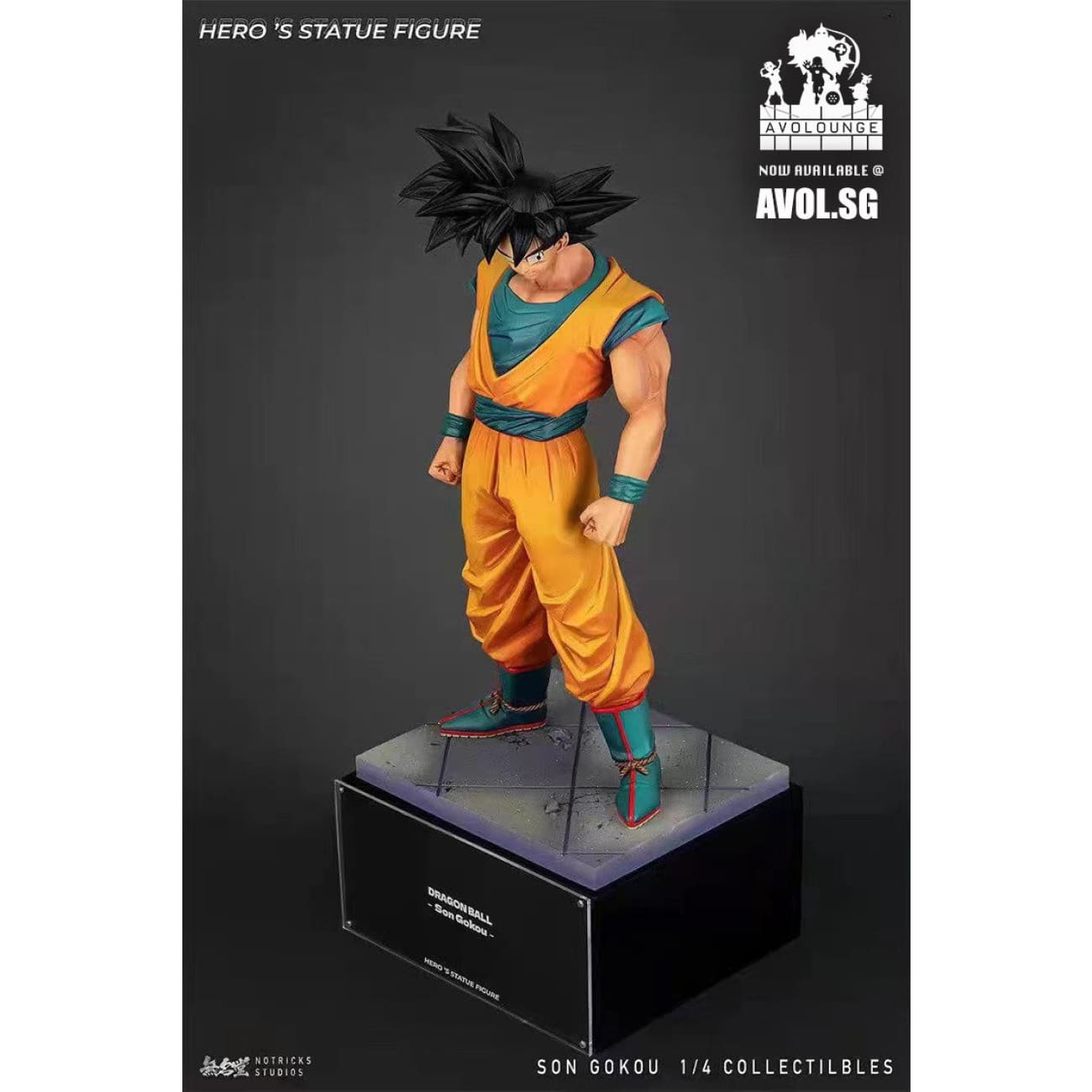 NOTRICKS Studio - Son Goku