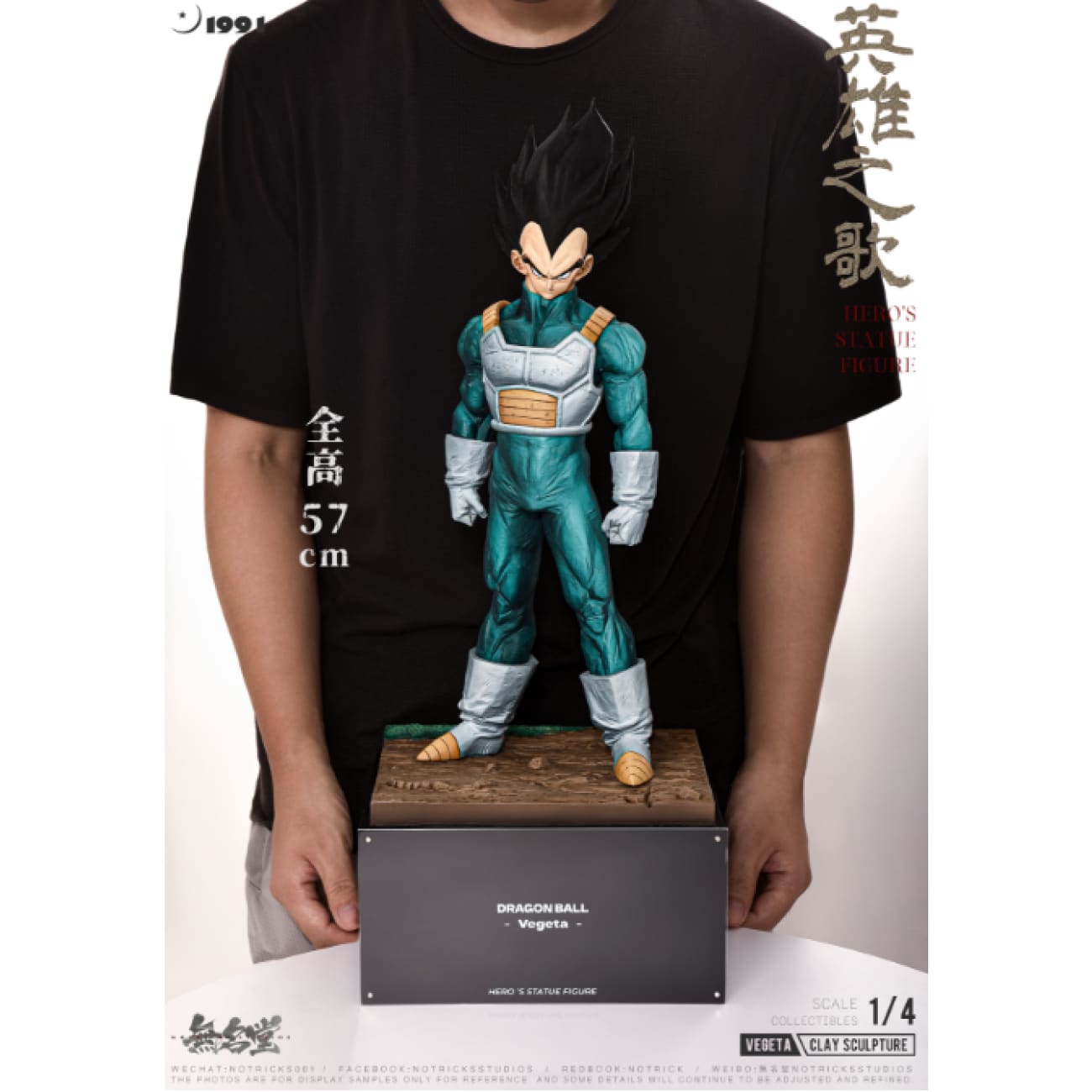 NOTRICKS Studio - The Song of Hero Vegeta [2 Variants]