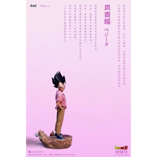 NOTRICKS Studio - Vegeta [4 Variants]