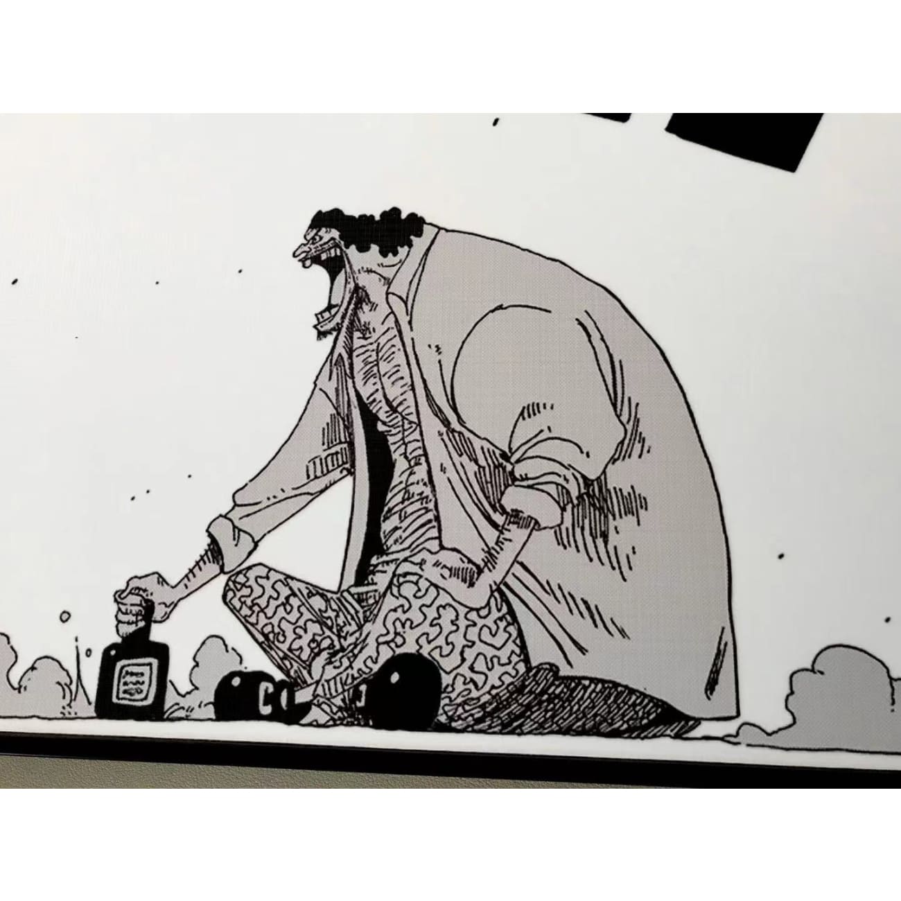 One Piece Manga Poster Frame