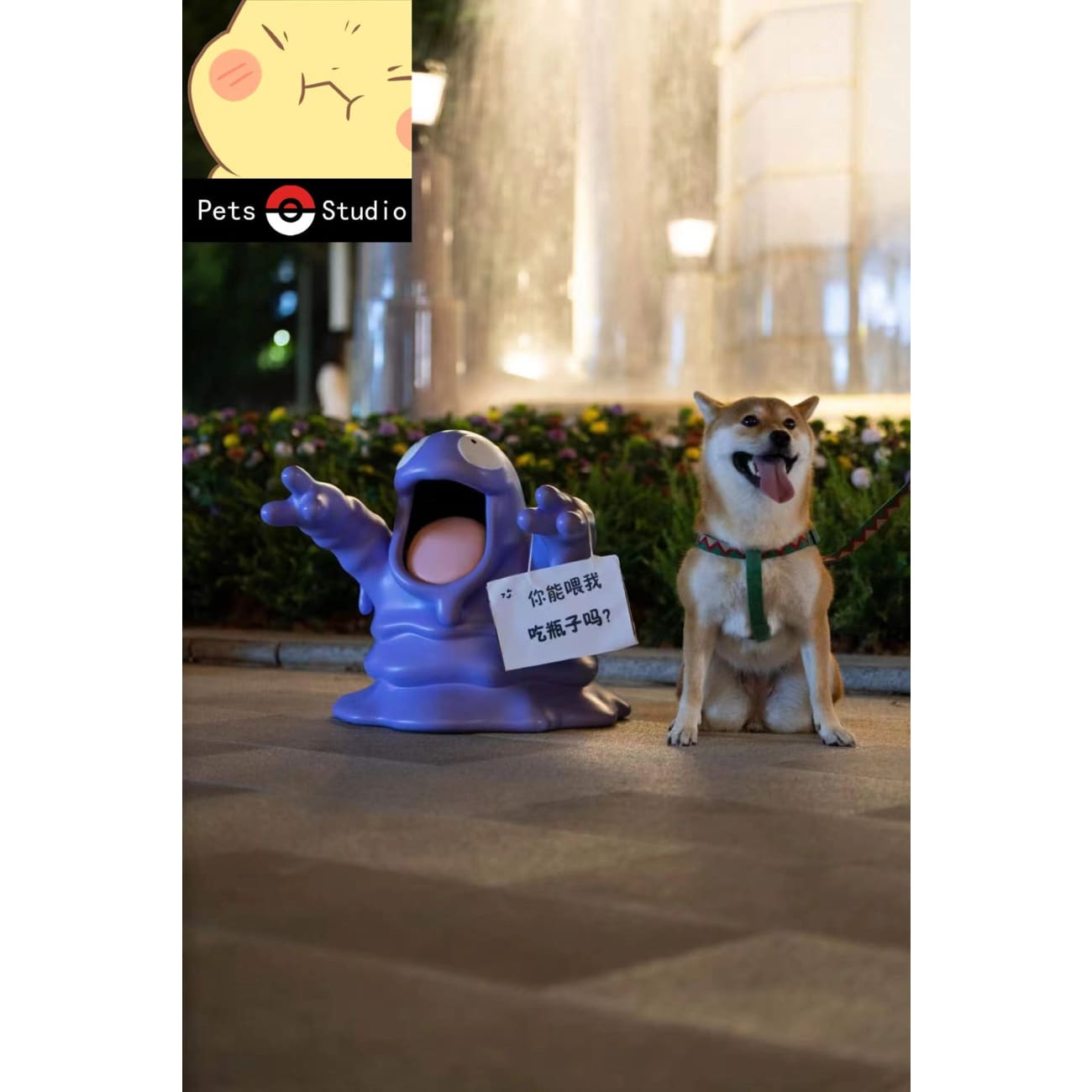 Pets Studio - Muk 