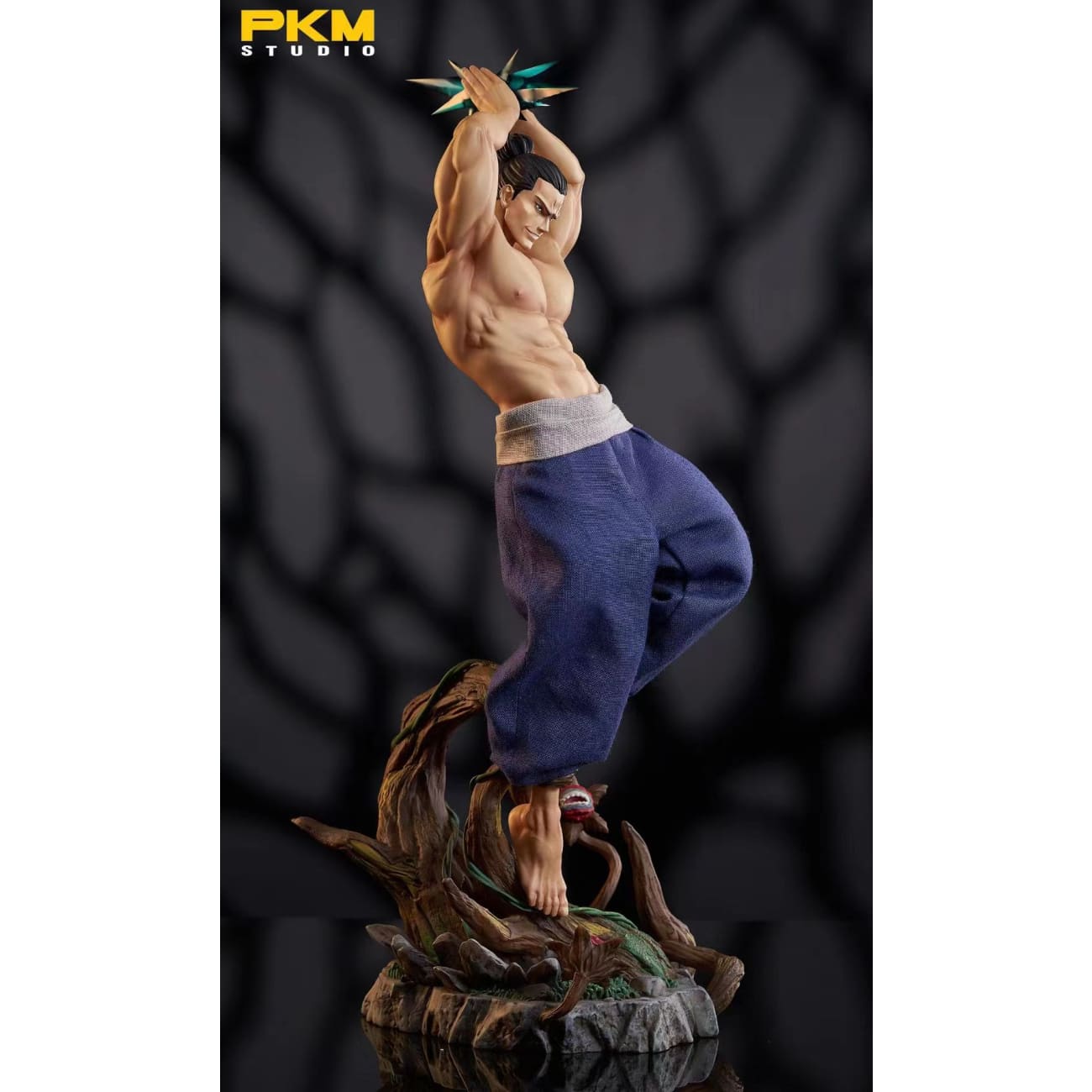 PKM Studio - Aoi Todo