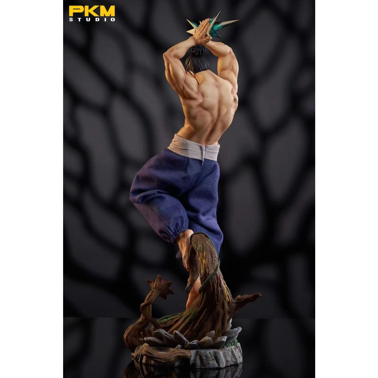 PKM Studio - Aoi Todo