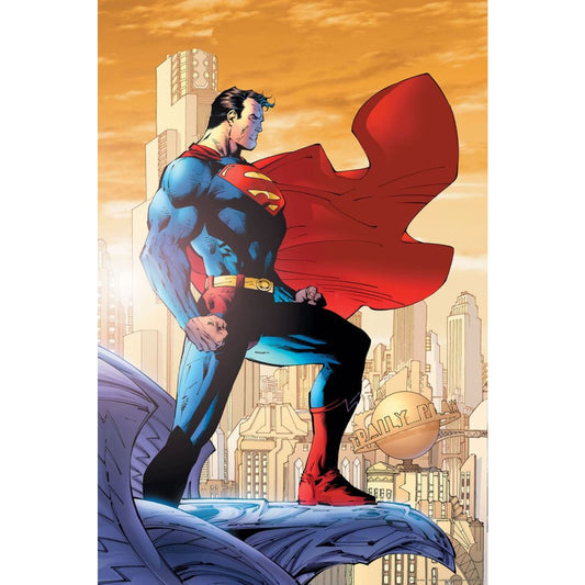 Poster Hub - Superman VS Batman Poster