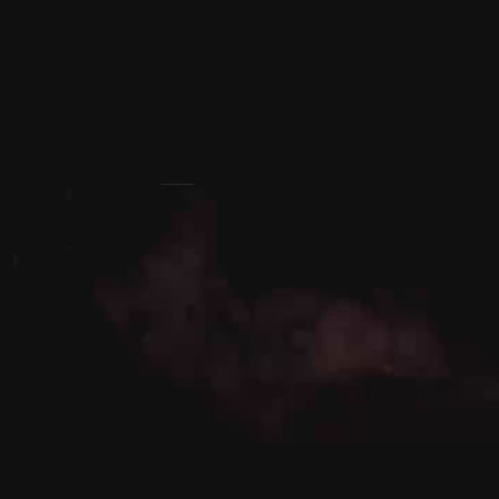 Light Year Studio - Ultra Instinct Goku