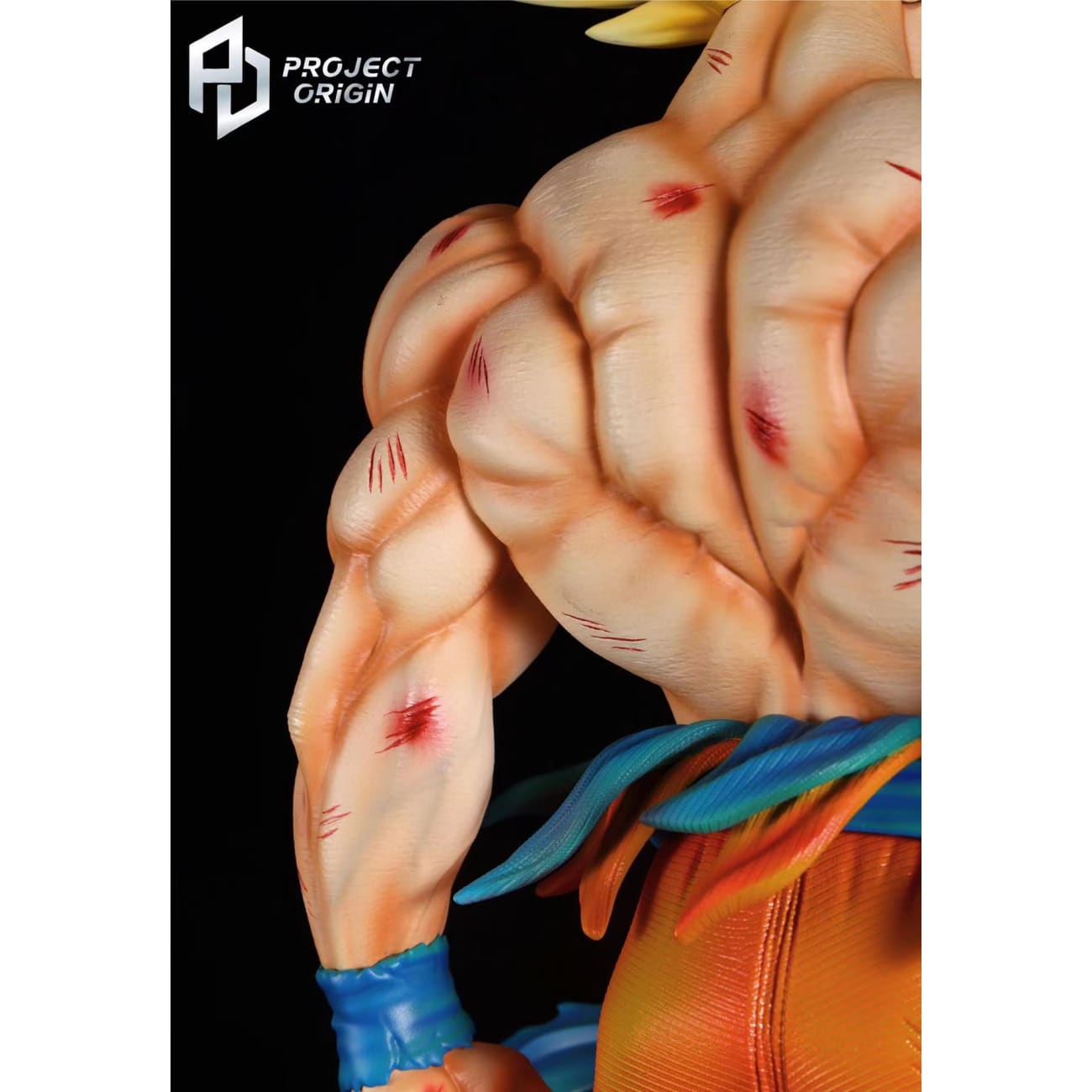 Project Origin Studio - Son Goku