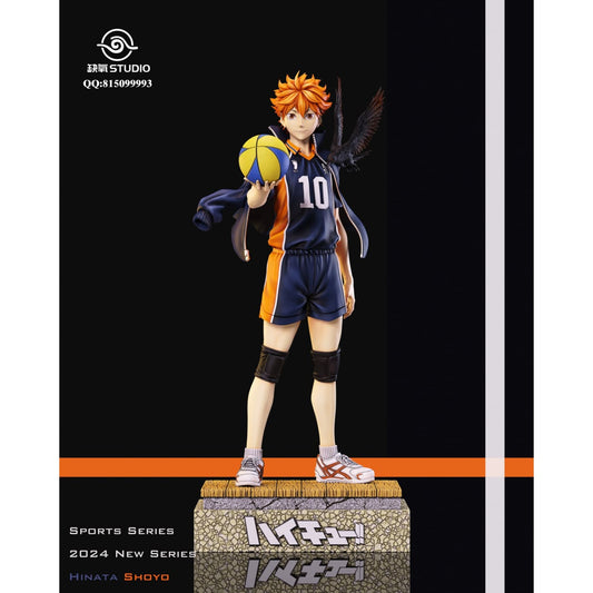 Que Yang Studio - Shoyo Hinata