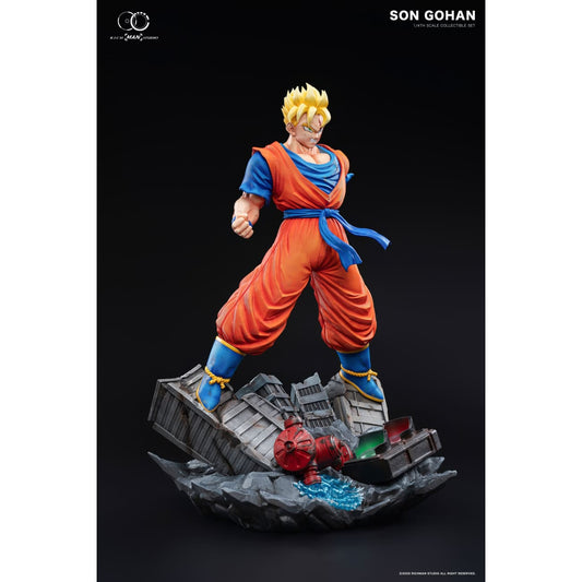 RICH MAN Studio - Future Gohan