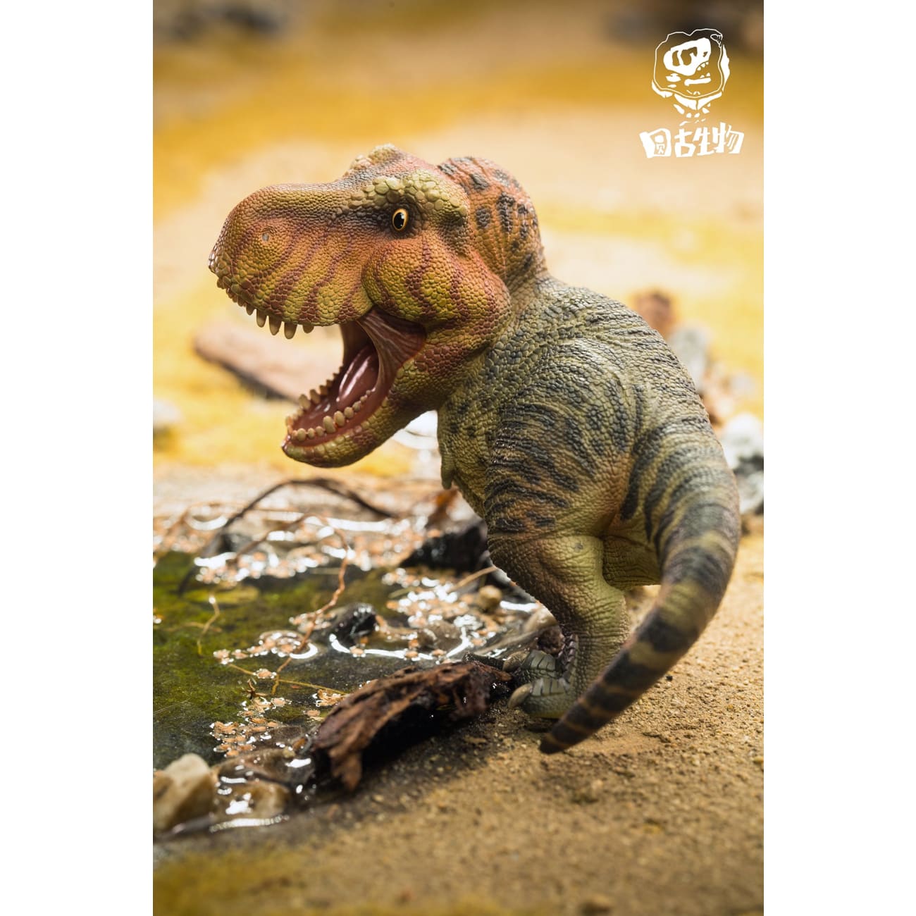 RoundRex Studio - Tyrannosaurus / Brachiosaurus / Parasaurolophus