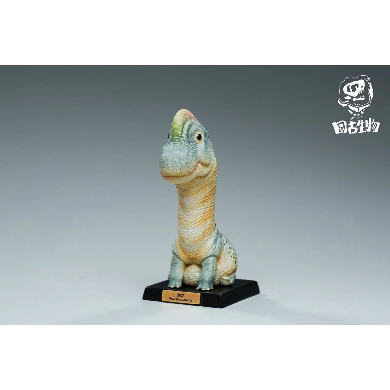 RoundRex Studio - Tyrannosaurus / Brachiosaurus / Parasaurolophus