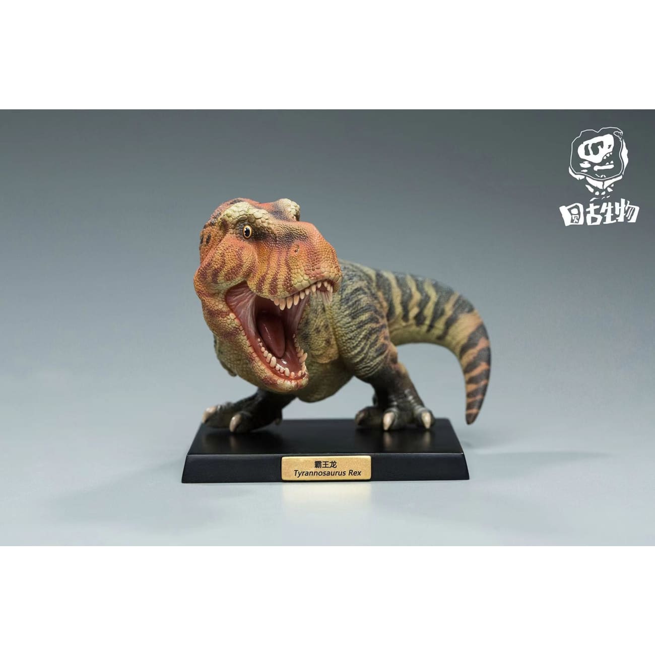 RoundRex Studio - Tyrannosaurus / Brachiosaurus / Parasaurolophus