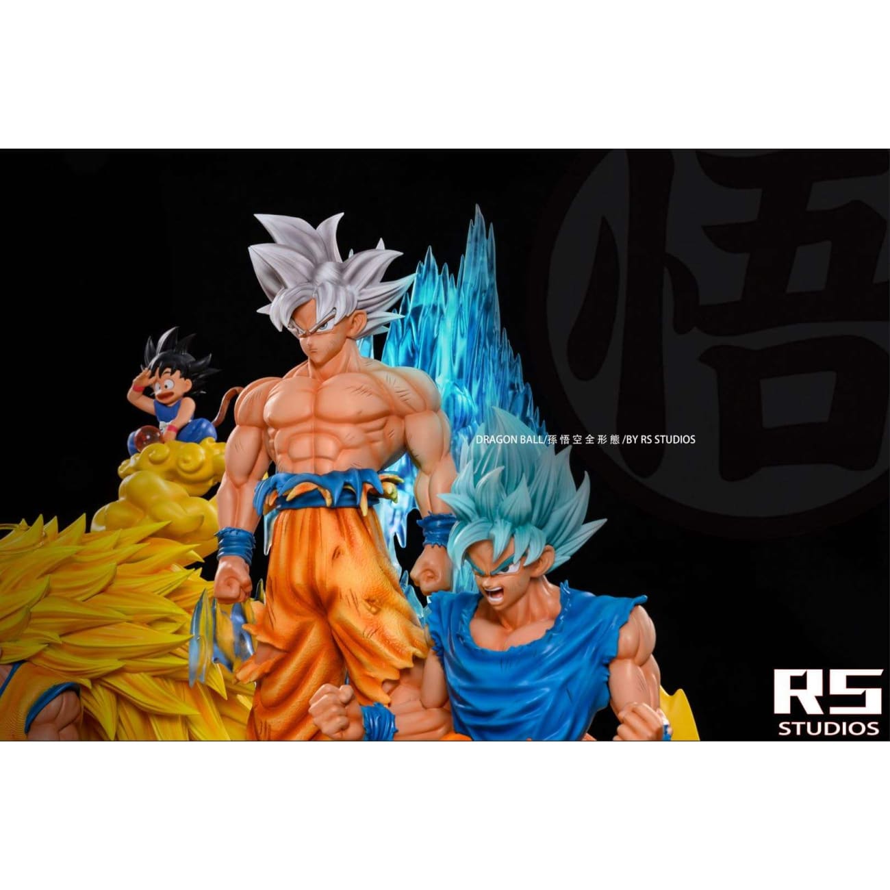 RS Studio - Son Goku all style