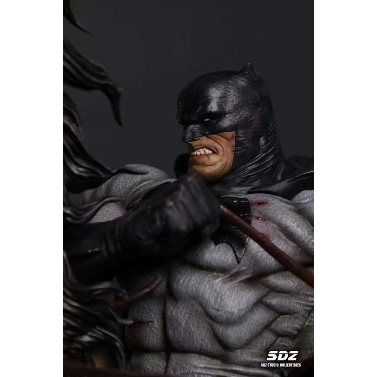SDZ Studio - Batman: The Dark Knight Returns