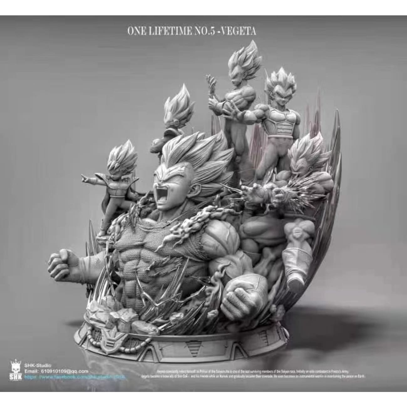 SHK Studio - Vegeta