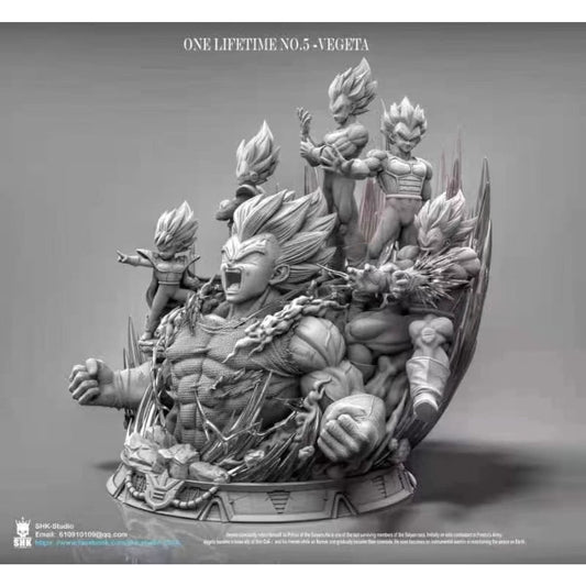 SHK Studio - Vegeta