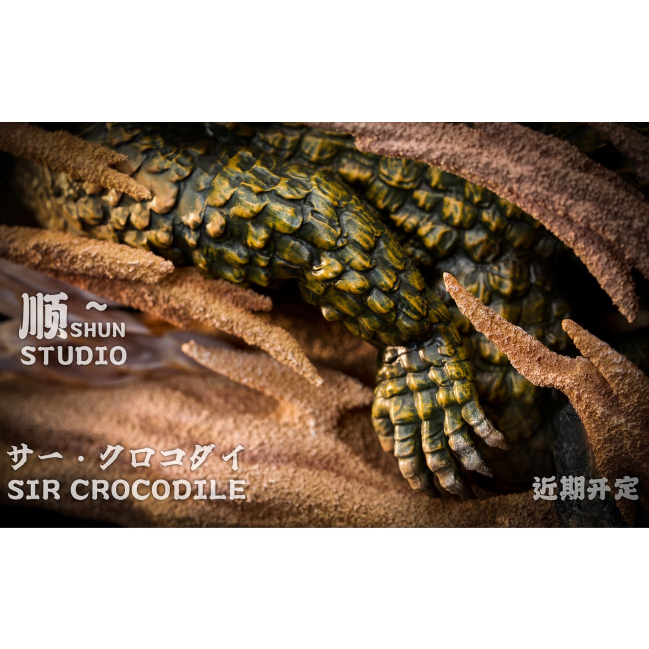 SHUN Studio - Sir Crocodile