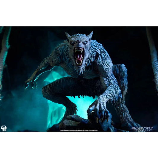 Sideshow x PCS - William [913801]