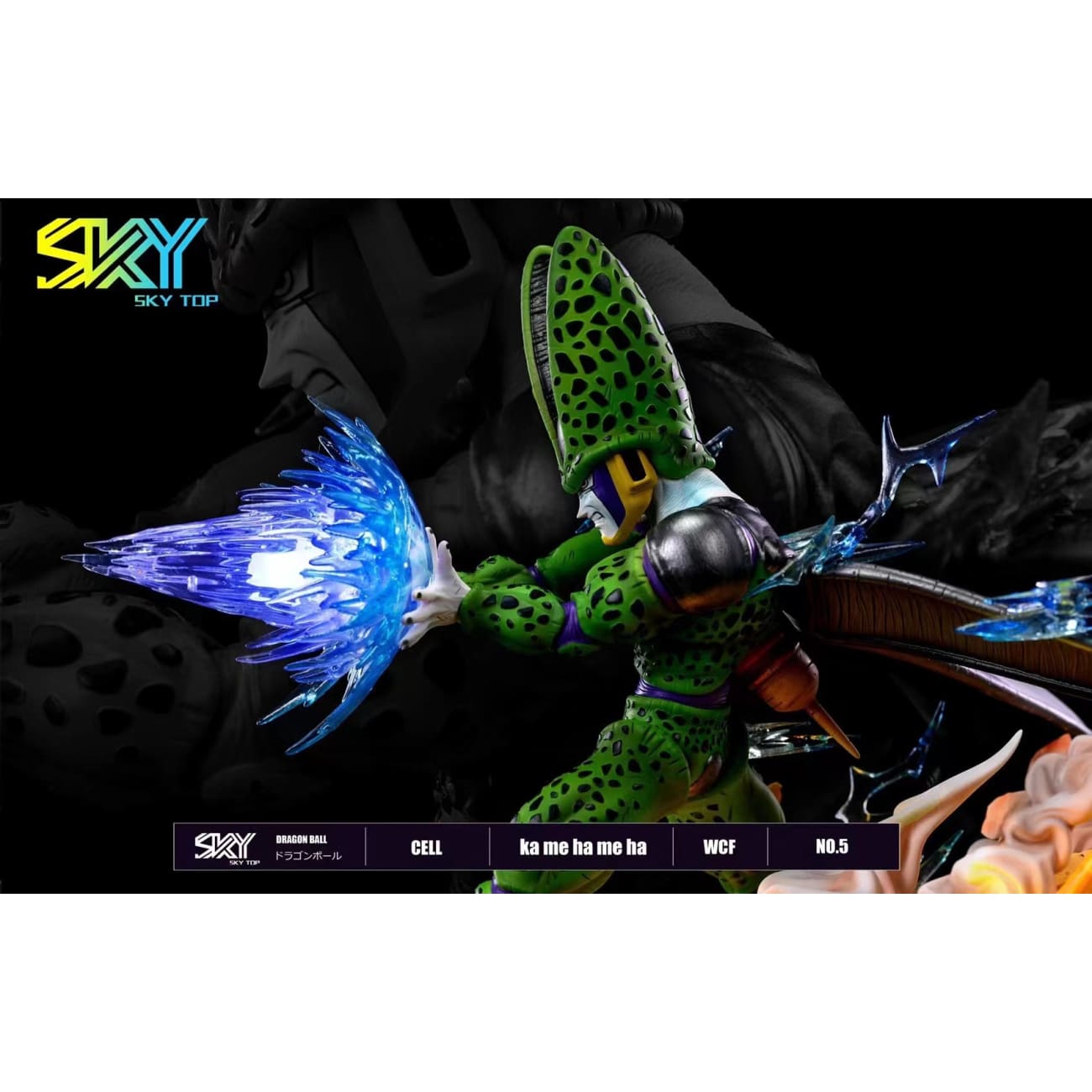 Sky Top Studio - Cell