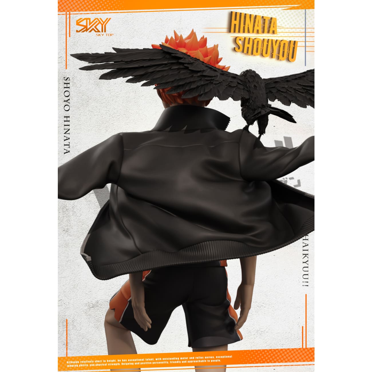 Sky Top Studio - Shoyo Hinata