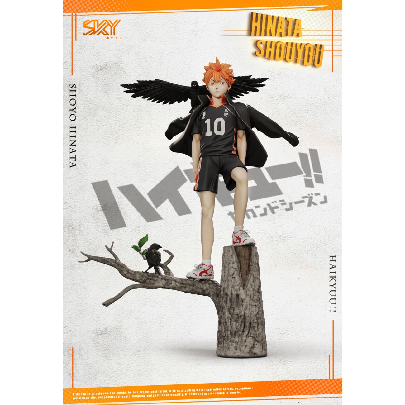 Sky Top Studio - Shoyo Hinata