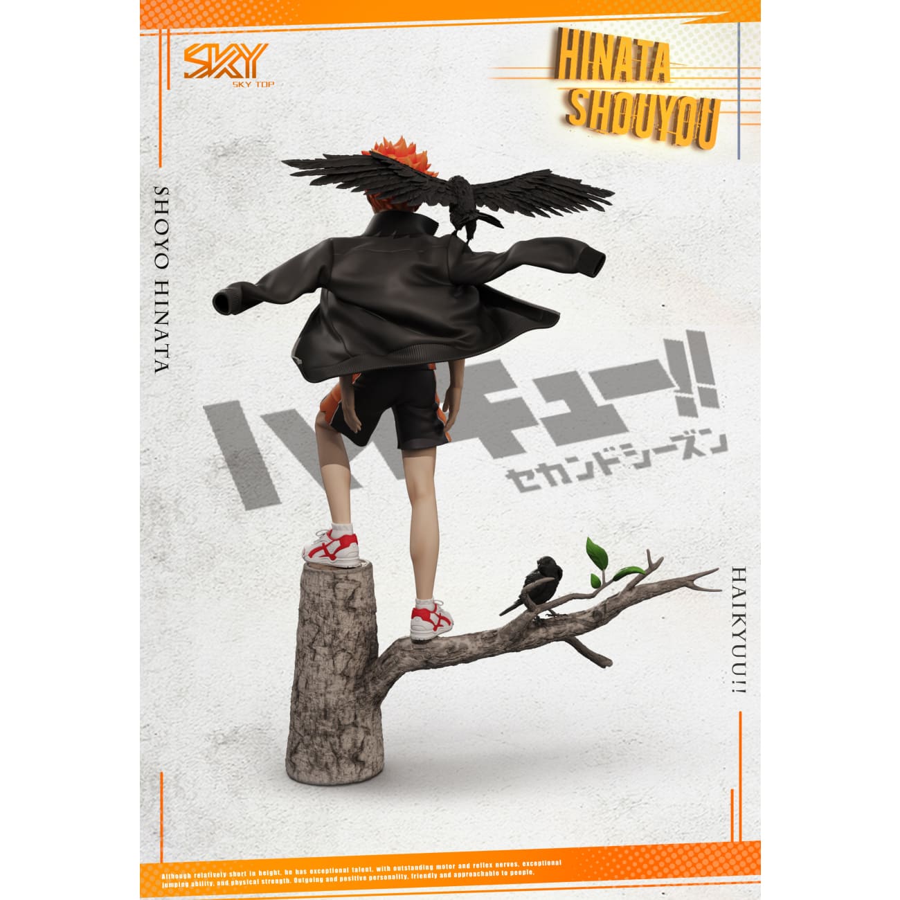 Sky Top Studio - Shoyo Hinata