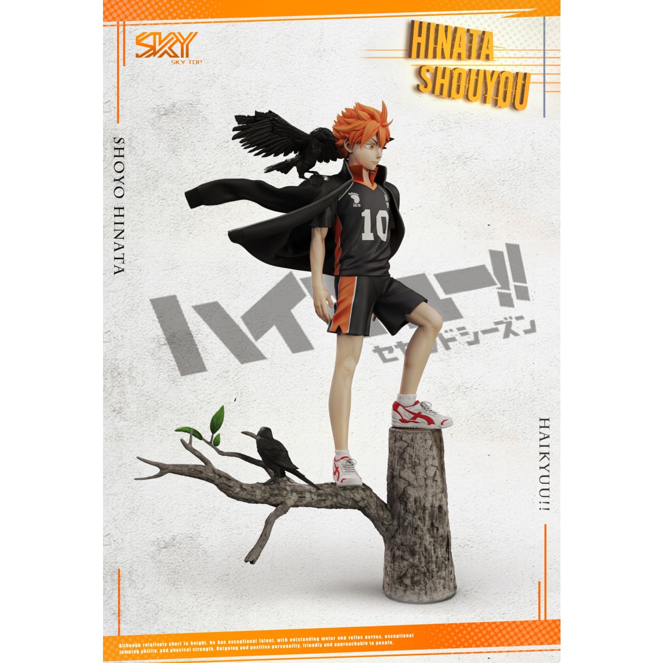 Sky Top Studio - Shoyo Hinata