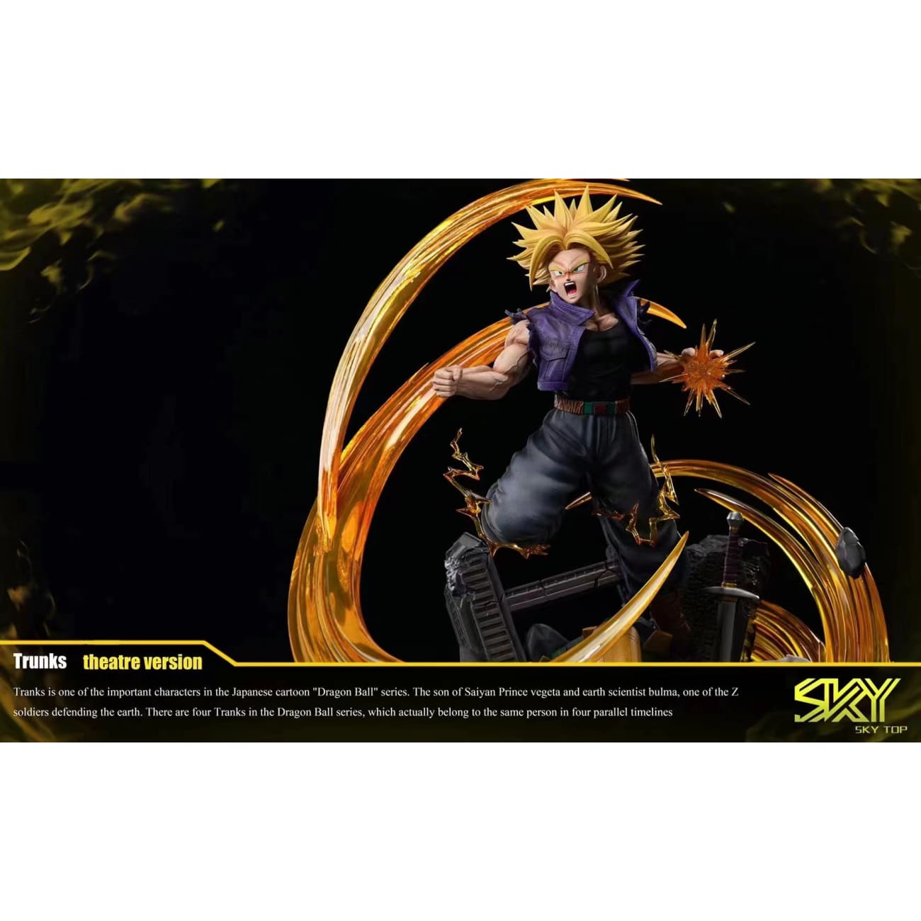 Sky Top studio - Trunks