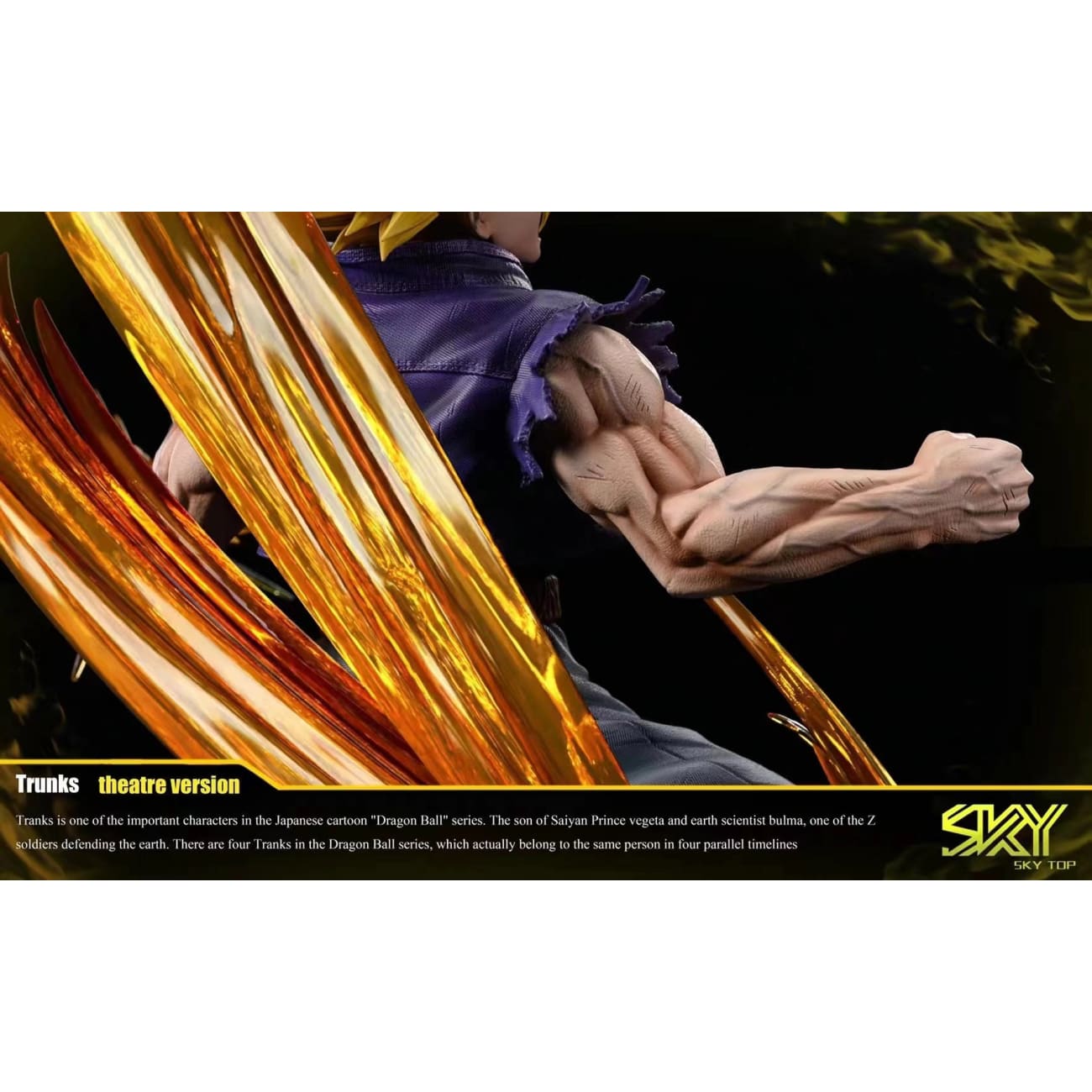 Sky Top studio - Trunks