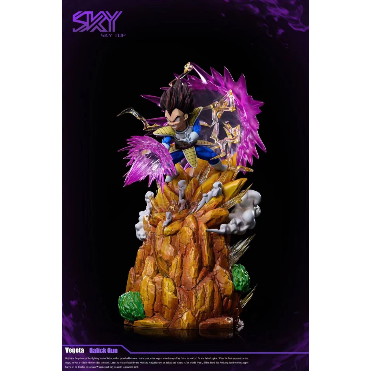 Sky Top Studio  - Vegeta
