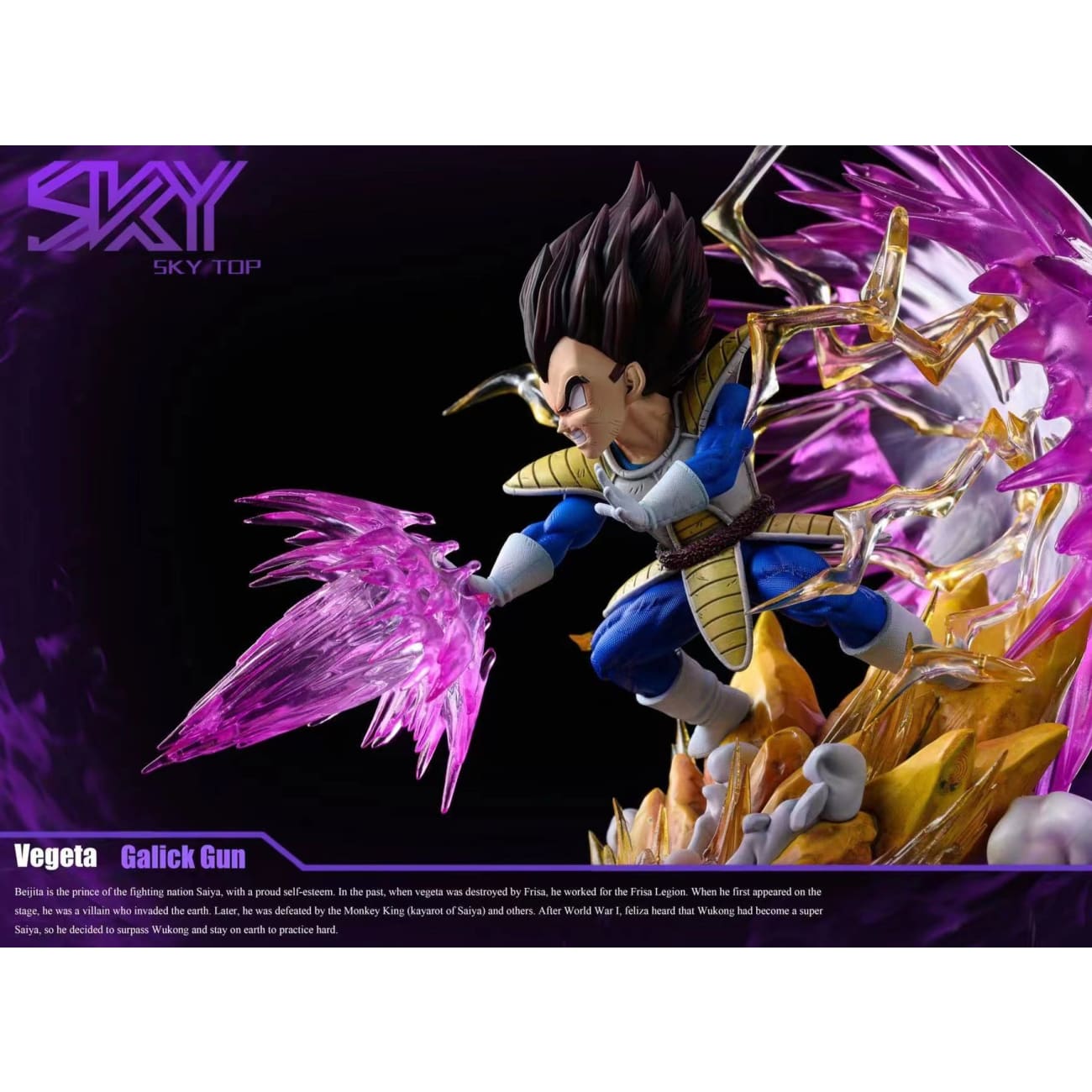 Sky Top Studio  - Vegeta