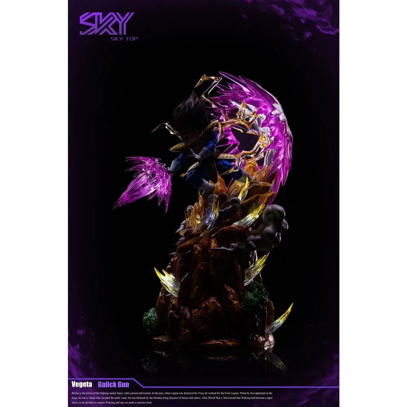 Sky Top Studio  - Vegeta
