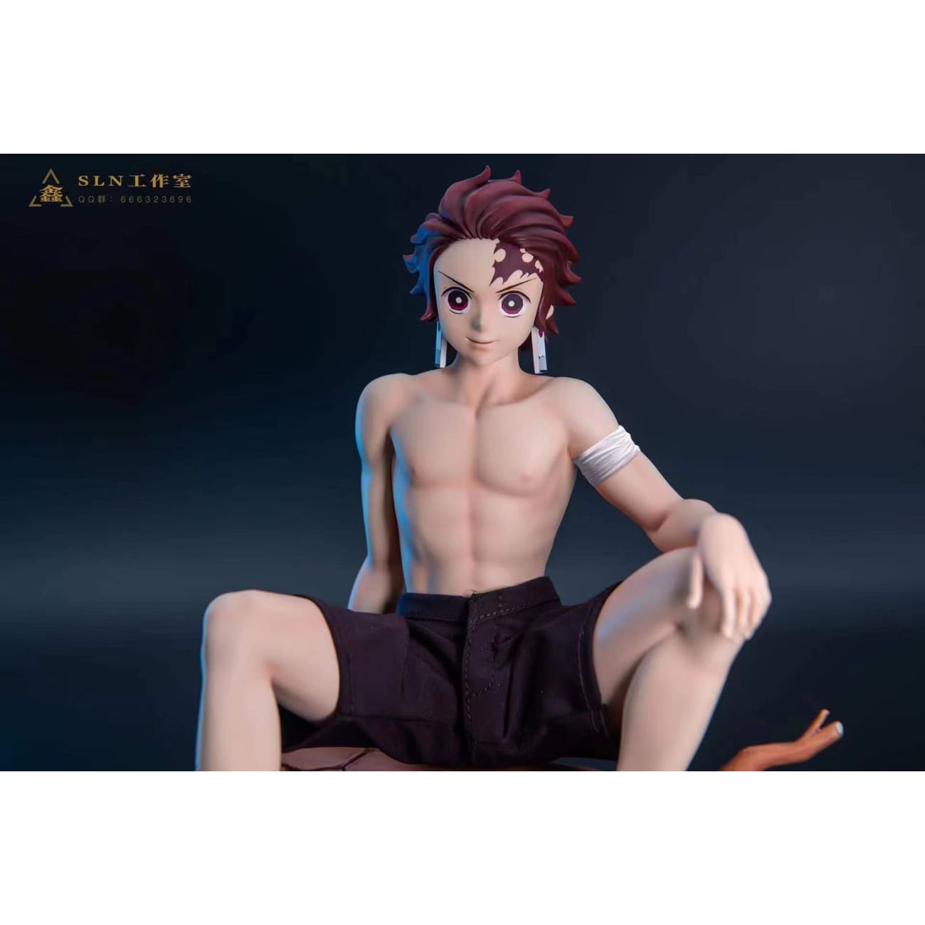 SLN Studio - Kamado Tanjiro [Cast Off]