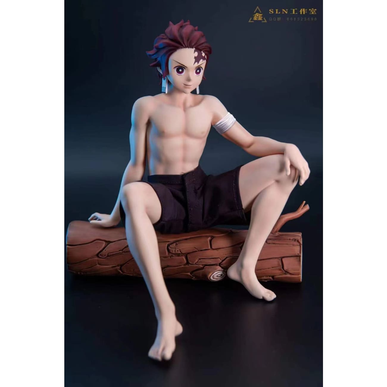 SLN Studio - Kamado Tanjiro [Cast Off]