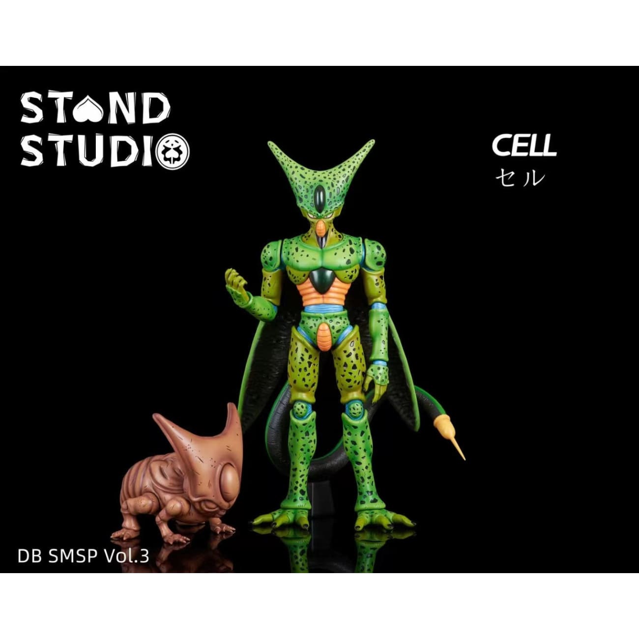 Stand Studio - Cell First Form