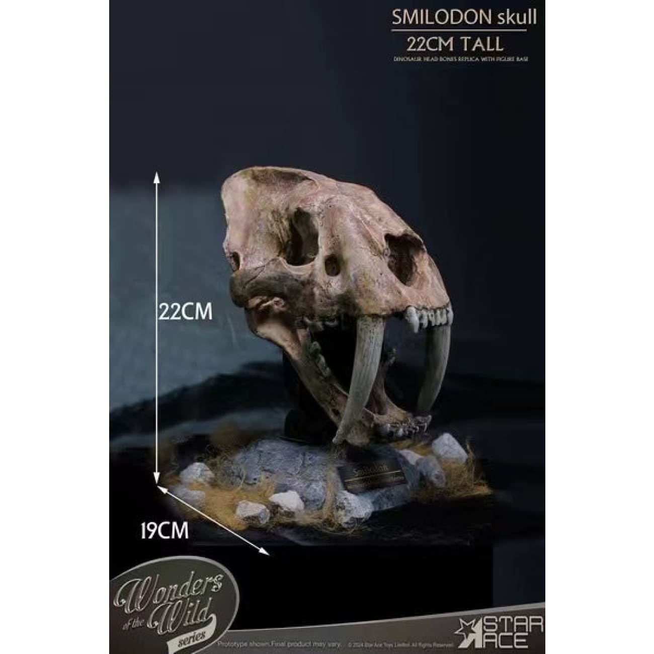 Star Ace Toys - Smilodon Skull Fossil [SA5040]