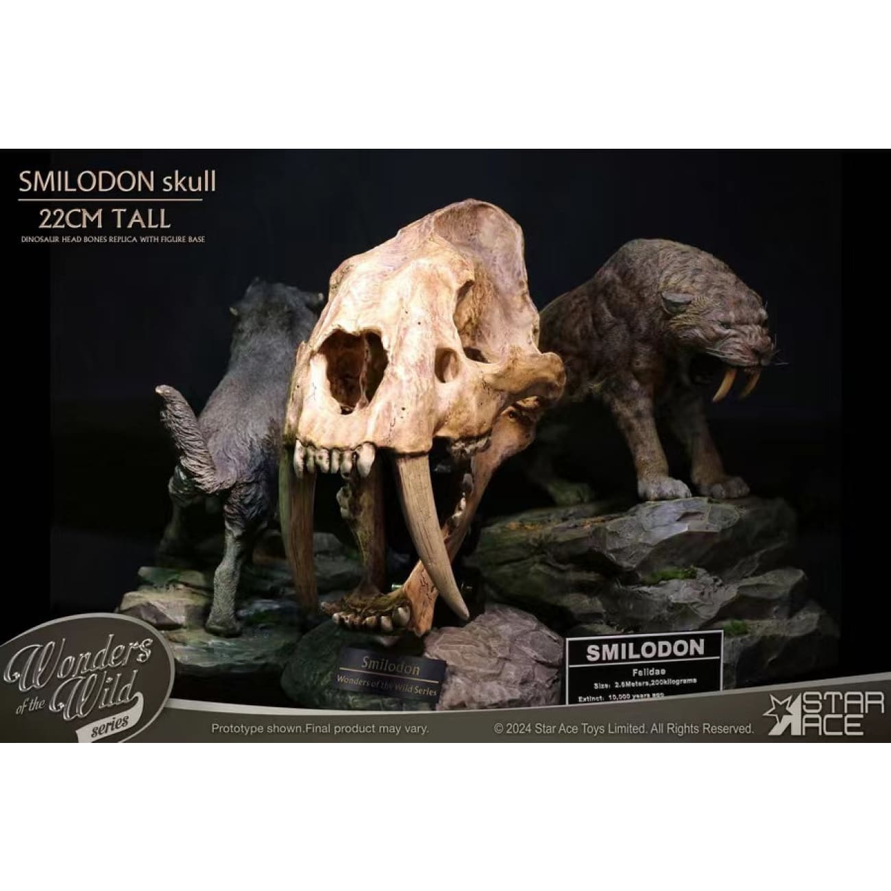 Star Ace Toys - Smilodon Skull Fossil [SA5040]