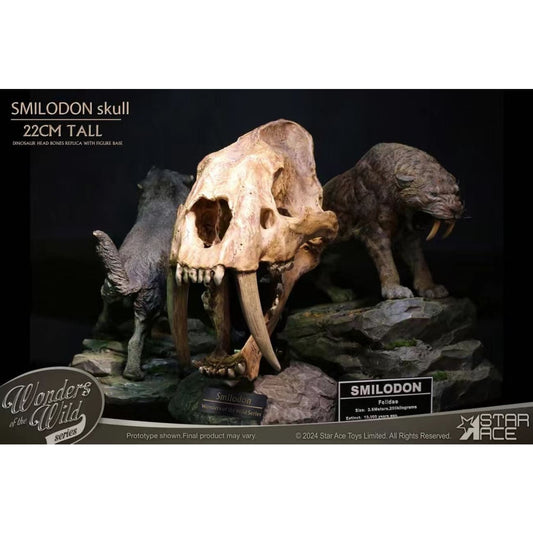 Star Ace Toys - Smilodon Skull Fossil [SA5040]